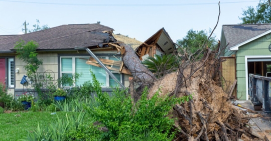 tree collapsed on house